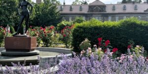 サンクガーデンから見た札幌市資料館